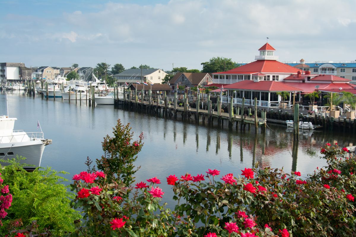 Roofing Service in Lewes, DE