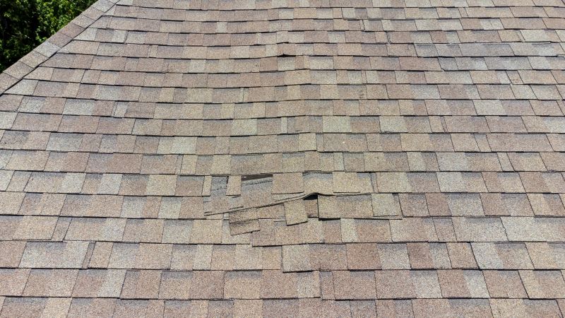 Asphalt Roof Inspection in Bridgeville, DE