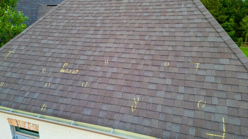 Asphalt Roof Inspection in Ocean View, DE
