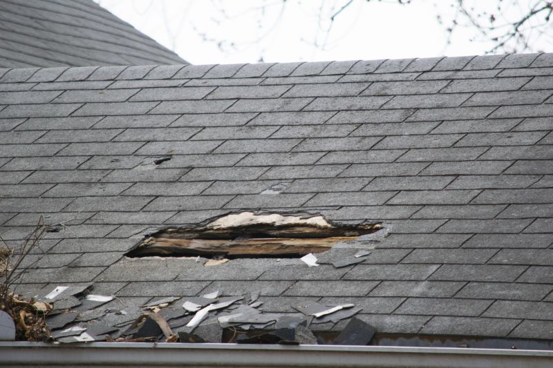 Asphalt Roof Leak Repair in Dagsboro, DE