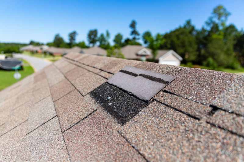 Asphalt Roof Leak Repair in Lewes, DE