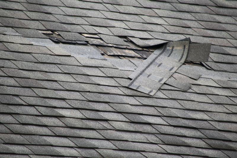 Asphalt Roof Repair in Bethany Beach, DE