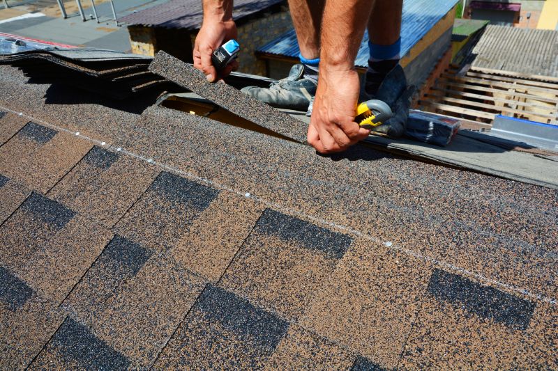 Asphalt Roof Repair in Dagsboro, DE