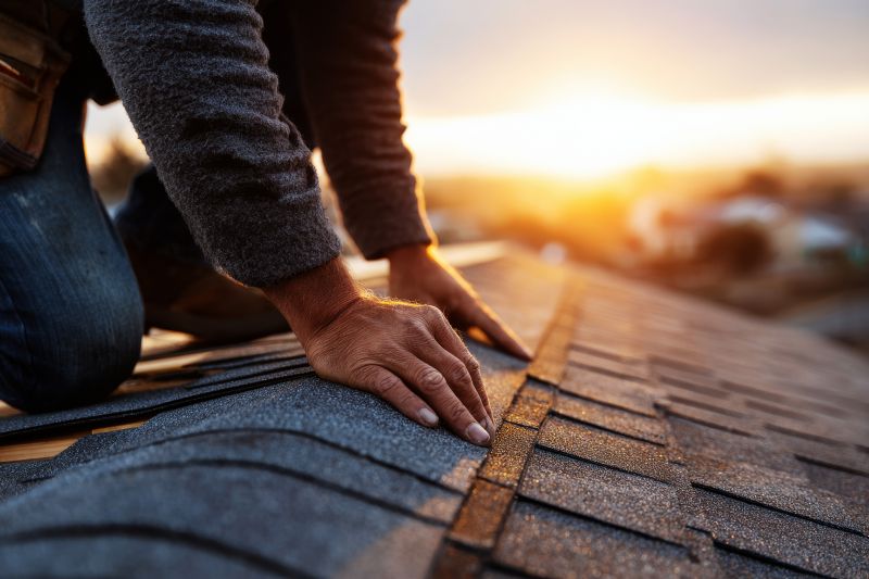 Asphalt Roof Repair in Ellendale, DE