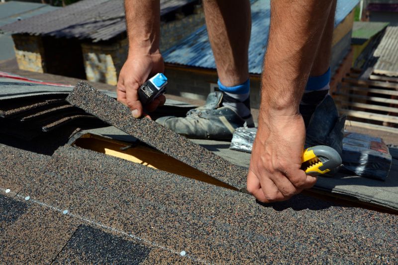 Asphalt Roof Repair in Laurel, DE