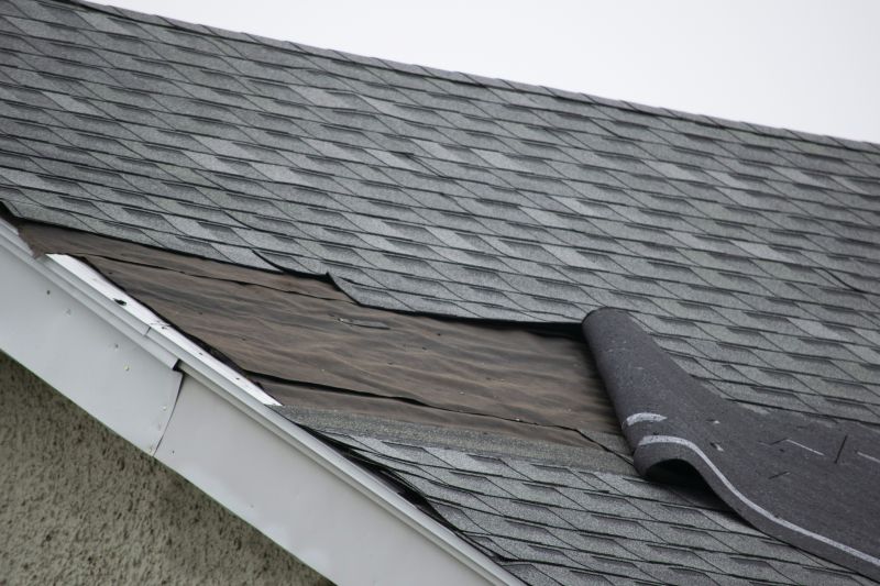 Asphalt Shingles Repair in Millville, DE
