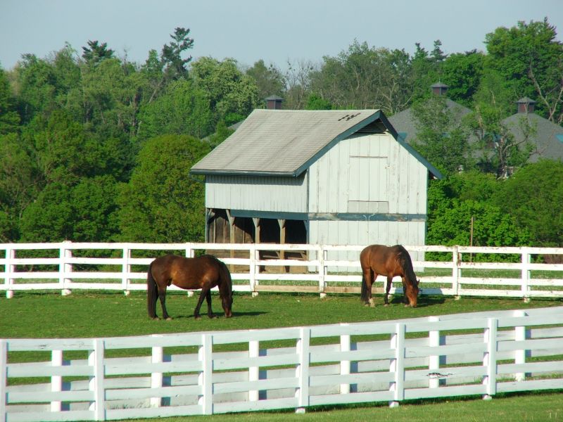 Barn Roof Construction in Lewes, DE