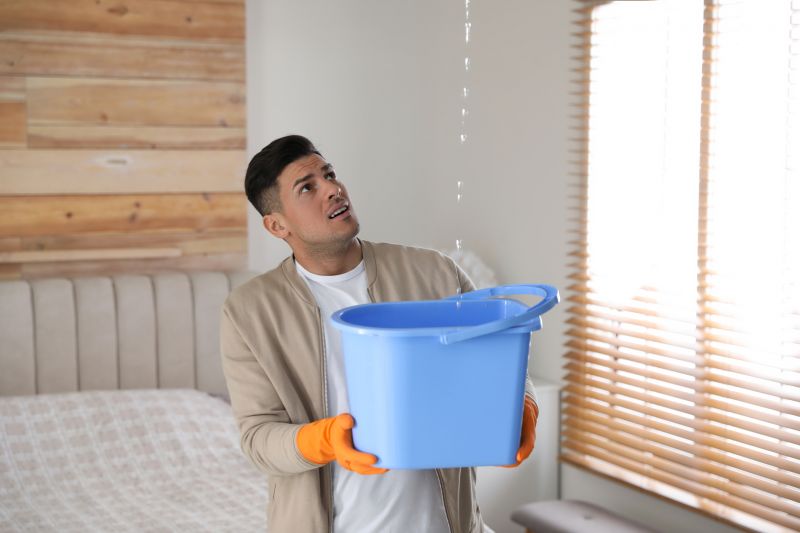 Bedroom Leak Repair in Lewes, DE