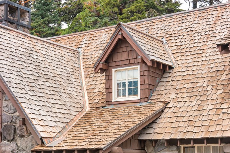 Cedar Shake Roof Repair in Ellendale, DE