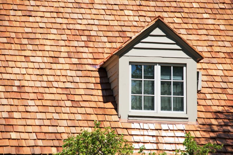 Cedar Shake Roof Repair in Millsboro, DE