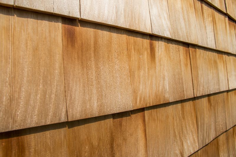 Cedar Shingles Repair in Millsboro, DE