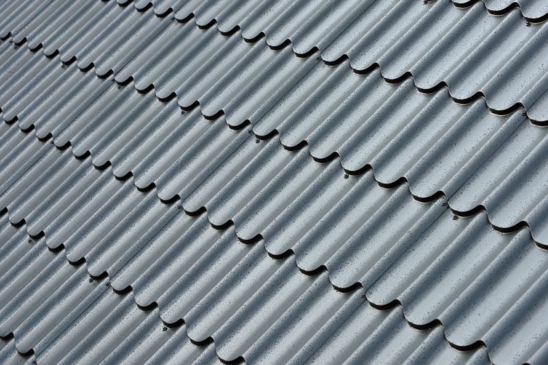 Corrugated Roof Repair in Millsboro, DE