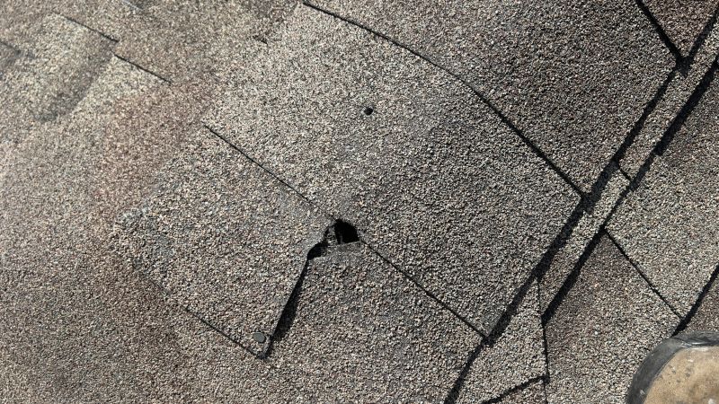 Damaged Roof Repair in Georgetown, DE