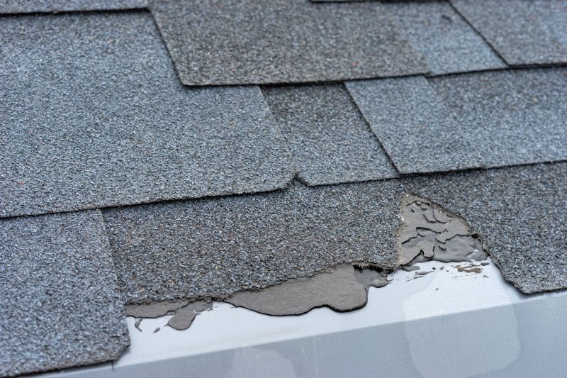 Damaged Roof Repair in Selbyville, DE