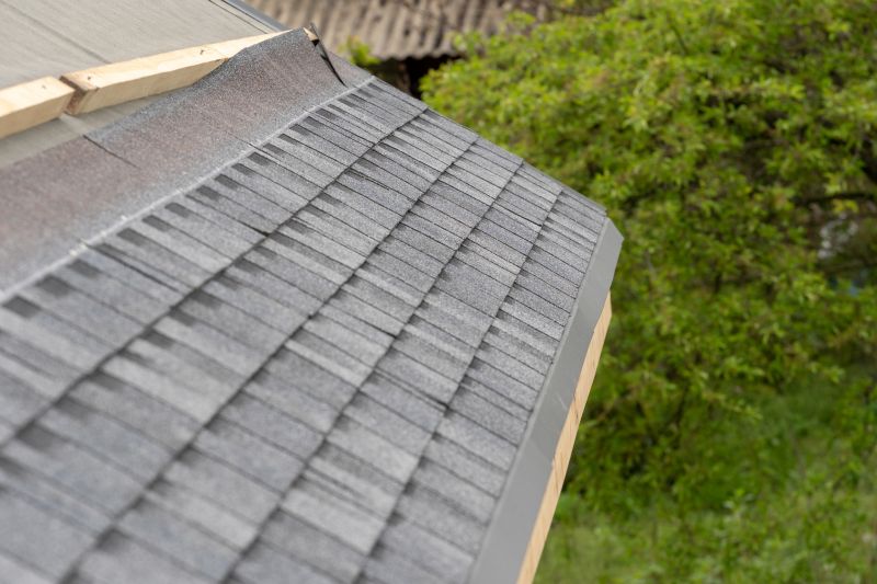 Damaged Roof Repair in Sussex County, DE