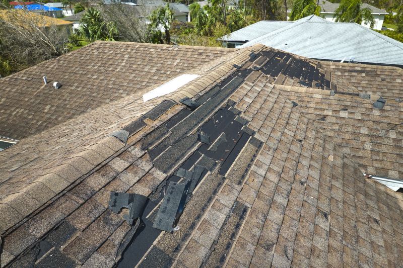 Dormer Roof Repair in Lewes, DE