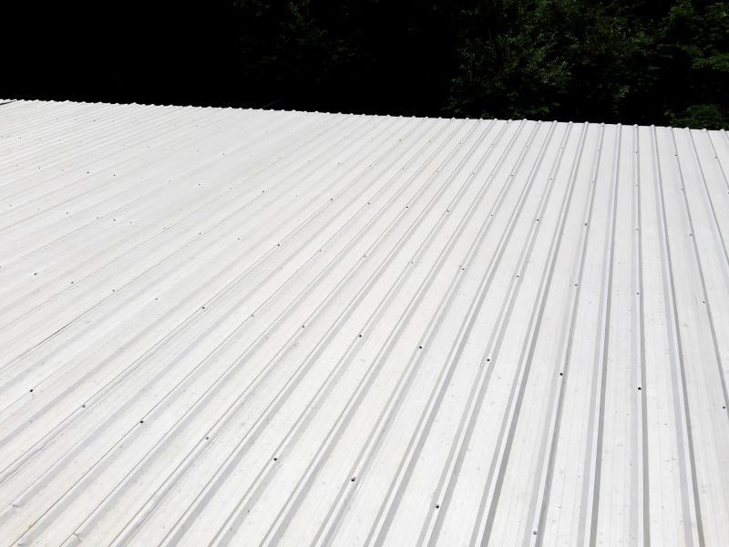 Galvanized Roof Repair in Lewes, DE