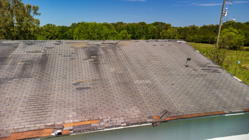 Hail Damage Roof Repair in Dagsboro, DE
