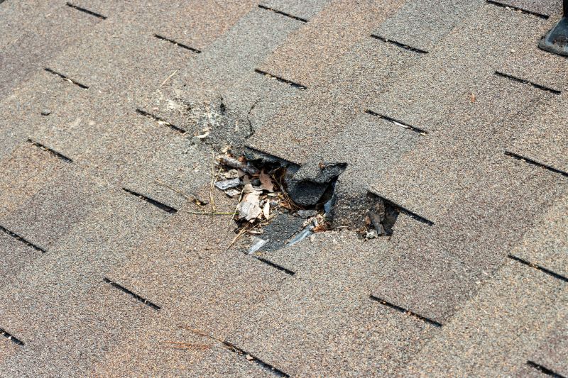 Leaky Roof Replacement in Lewes, DE