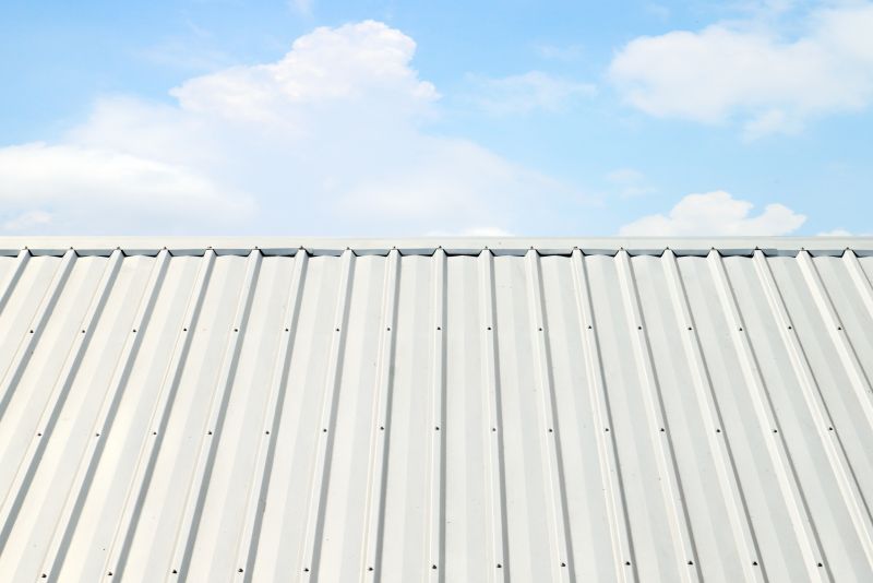 Metal Roof Coating Service in Lewes, DE