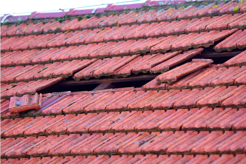 Roof Damage Inspection in Greenwood, DE