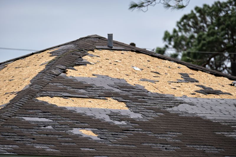 Roof Damage Restoration in Harbeson, DE