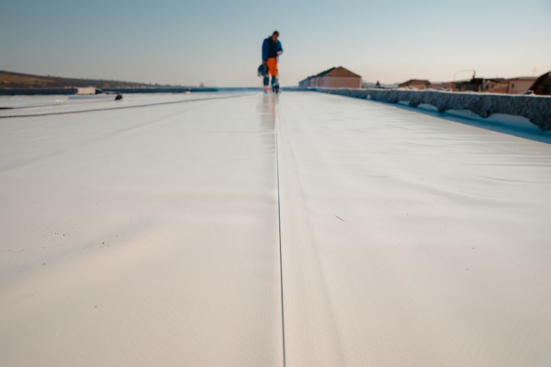 Rubber Roof Repair in Ellendale, DE