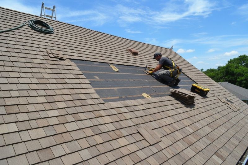 Shake Shingle Repair in Ellendale, DE