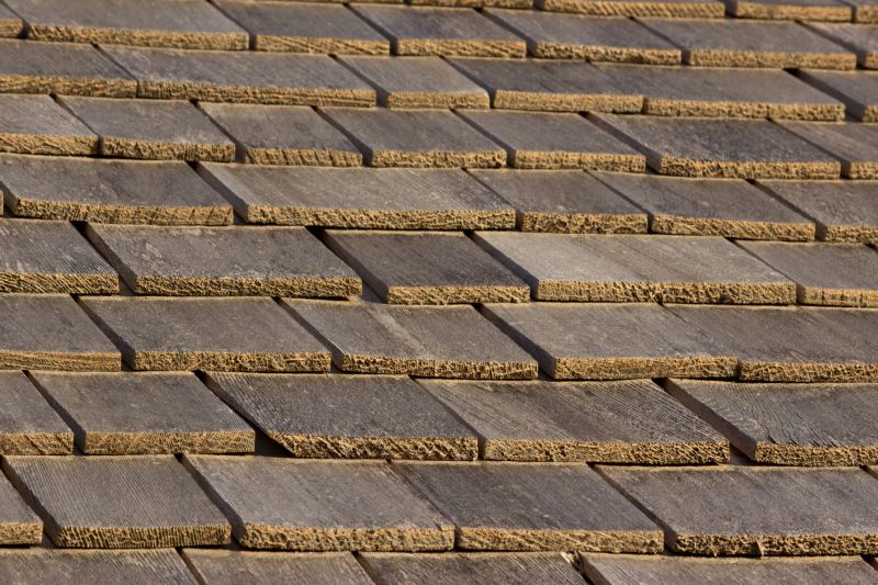 Shake Shingle Repair in Houston, DE