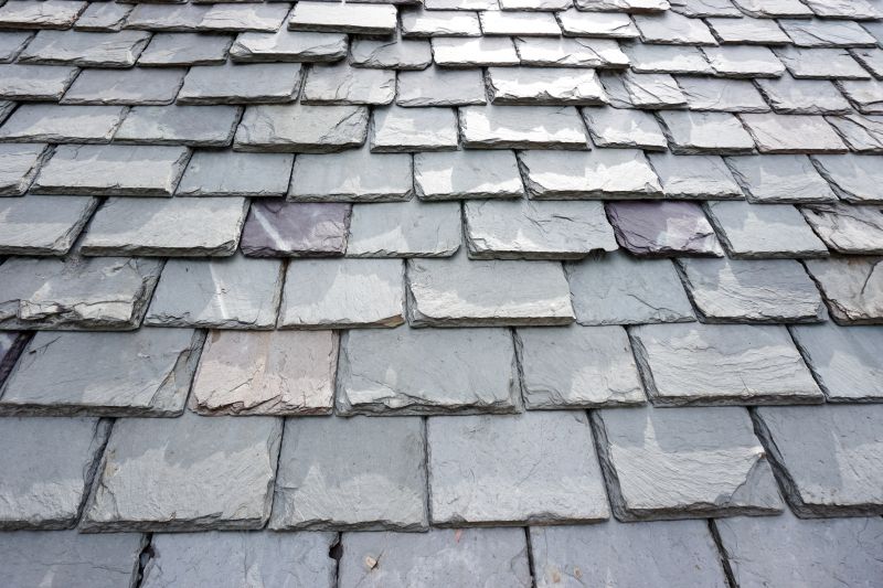 Slate Roof Repair in Ocean View, DE