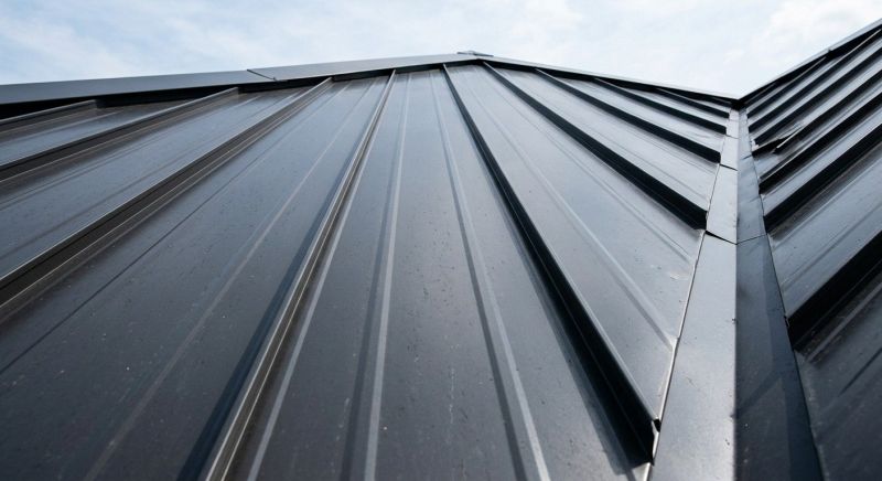 Standing Seam Roof Repair in Lewes, DE