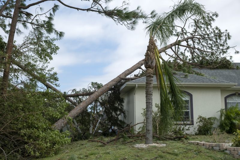 Storm Damage Roof Repair in Millsboro, DE