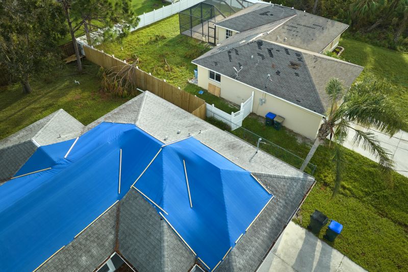 Storm Damage Roof Tarping in Lewes, DE