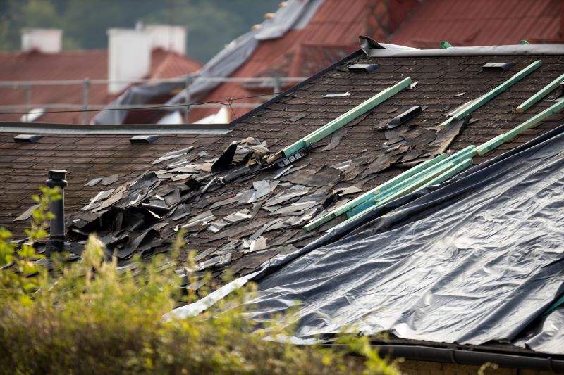 Storm Damage Roof Tarping in Lewes, DE