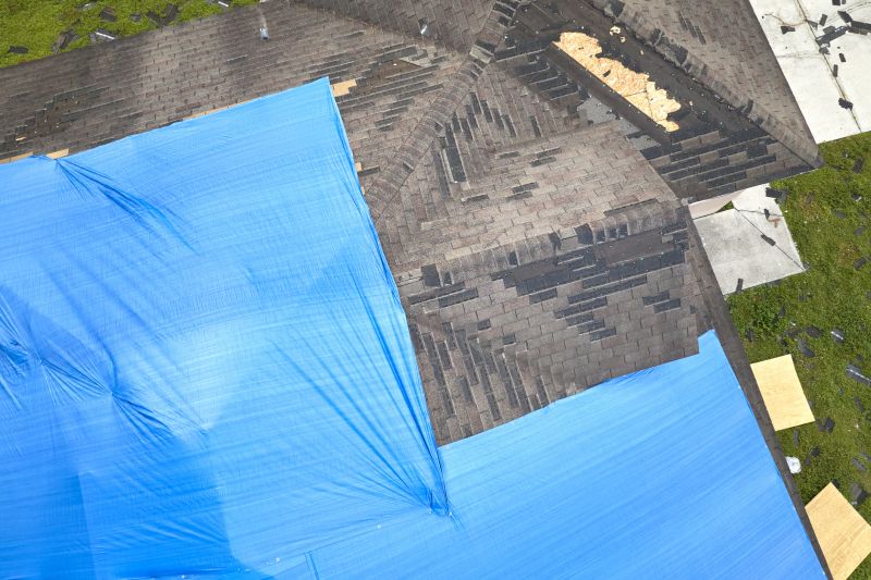 Storm Damage Roof Tarping in Lewes, DE