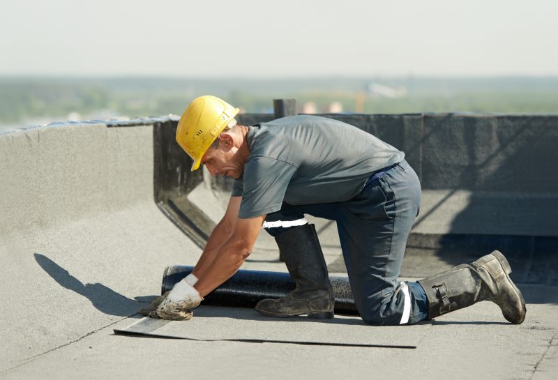 Tar Roof Waterproofing in Lewes, DE