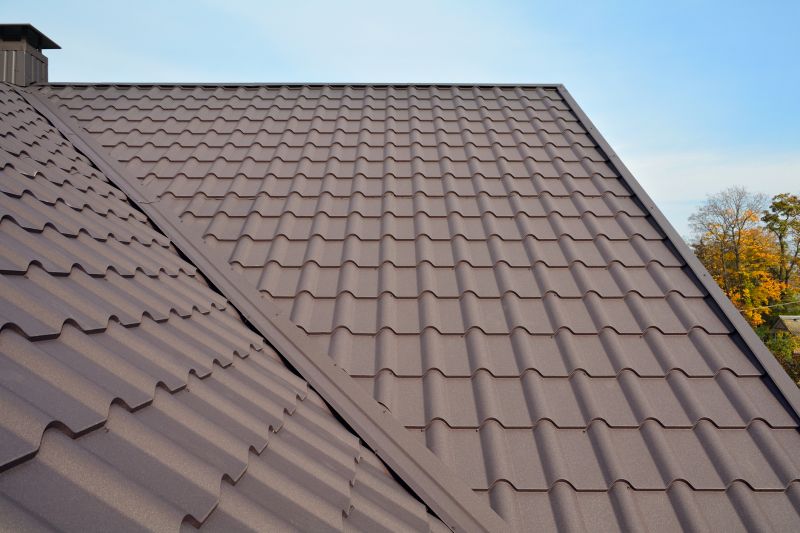 Tin Roof Installation in Dewey Beach, DE