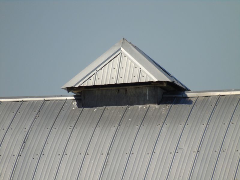 Tin Roof Installation in Lewes, DE