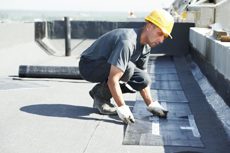 Tpo Roof Repair in Georgetown, DE