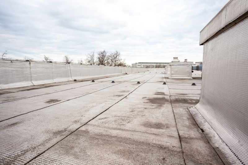 Tpo Roof Repair in Ocean View, DE