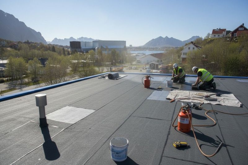 Tpo Roof Replacement in Sussex County, DE