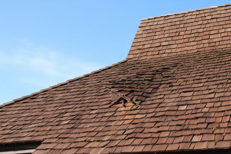 Wood Shake Roof Replacement in Ellendale, DE