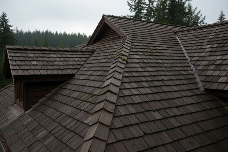 Wood Shake Roof Replacement in Frankford, DE
