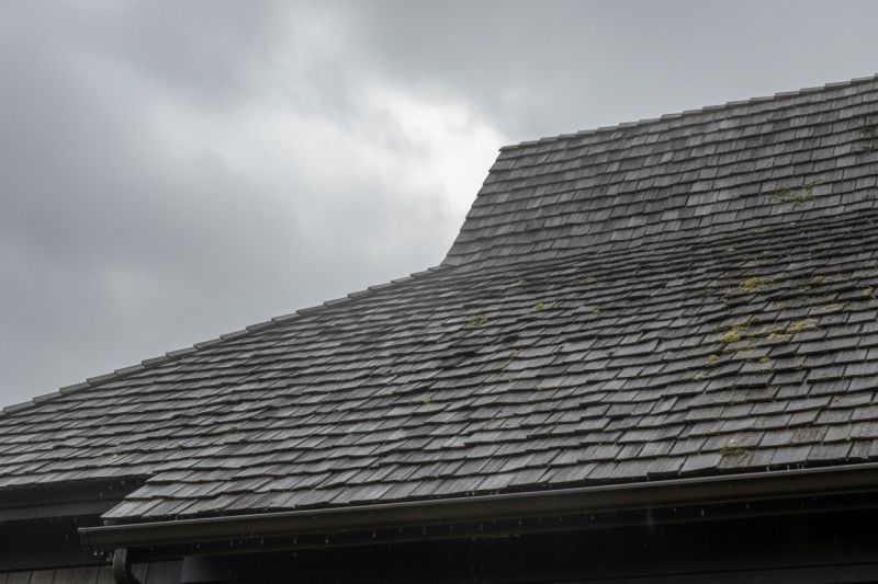 Wood Shake Roof Replacement in Seaford, DE