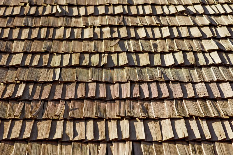 Wood Shake Roof Replacement in Villas, NJ